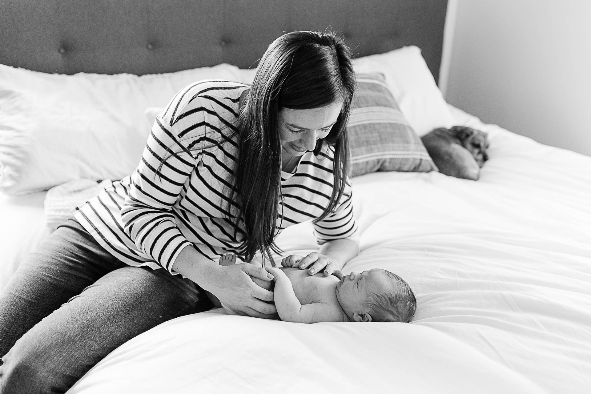 Marshfield newborn photographer