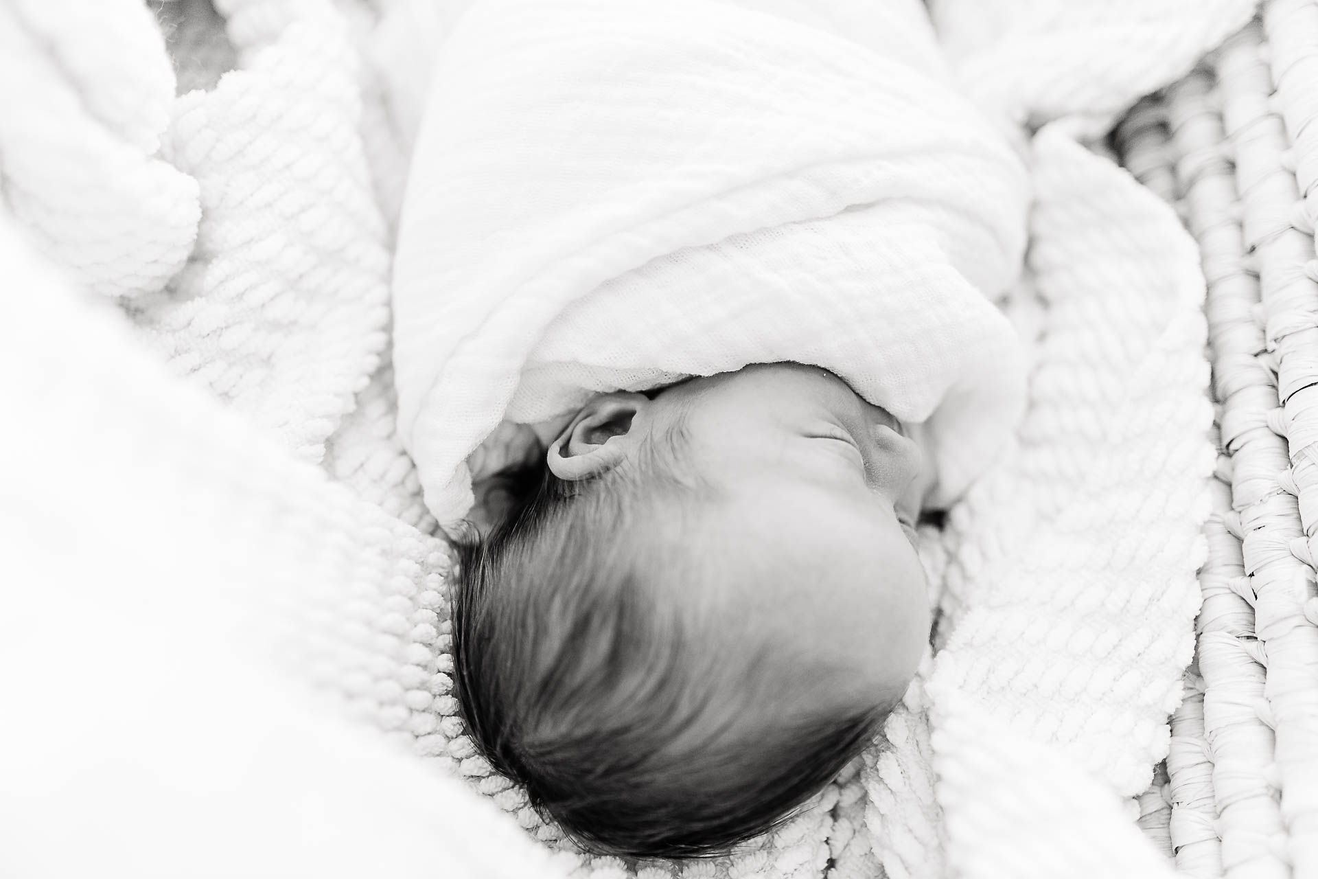 Outdoor newborn pictures by Pembroke Newborn Photographer Christina Runnals 