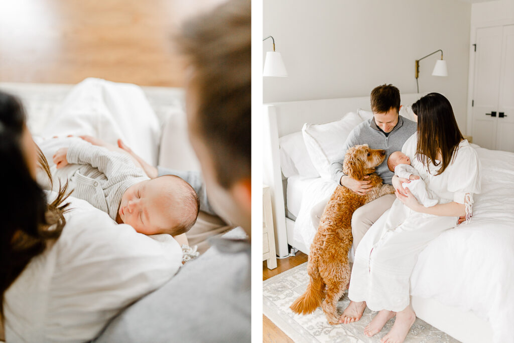 Hingham Massachusetts newborn pictures with a puppy by Christina Runnals Photography