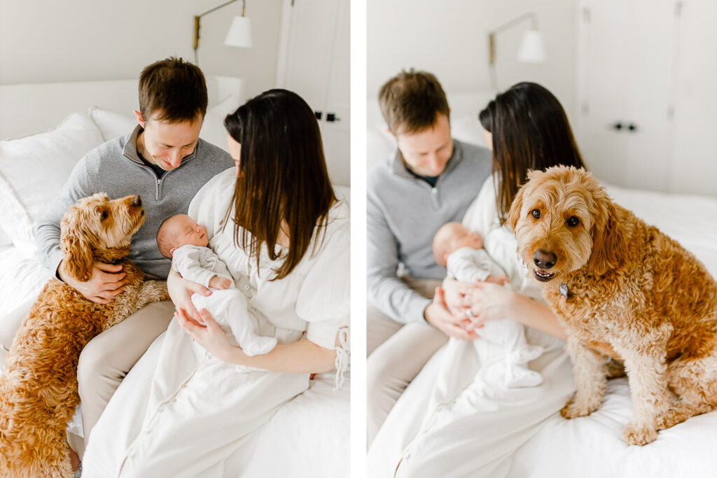 Hingham Massachusetts newborn pictures with dog by Christina Runnals Photography